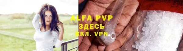 индика Алексеевка