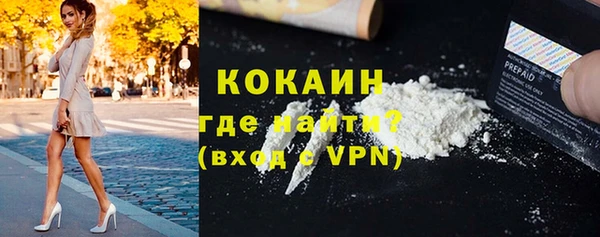 индика Алексеевка