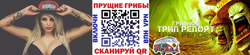 Псилоцибиновые грибы MAGIC MUSHROOMS  магазин  наркотиков  Кольчугино 