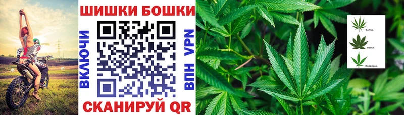 продажа наркотиков  Кольчугино  МАРИХУАНА ГИДРОПОН 